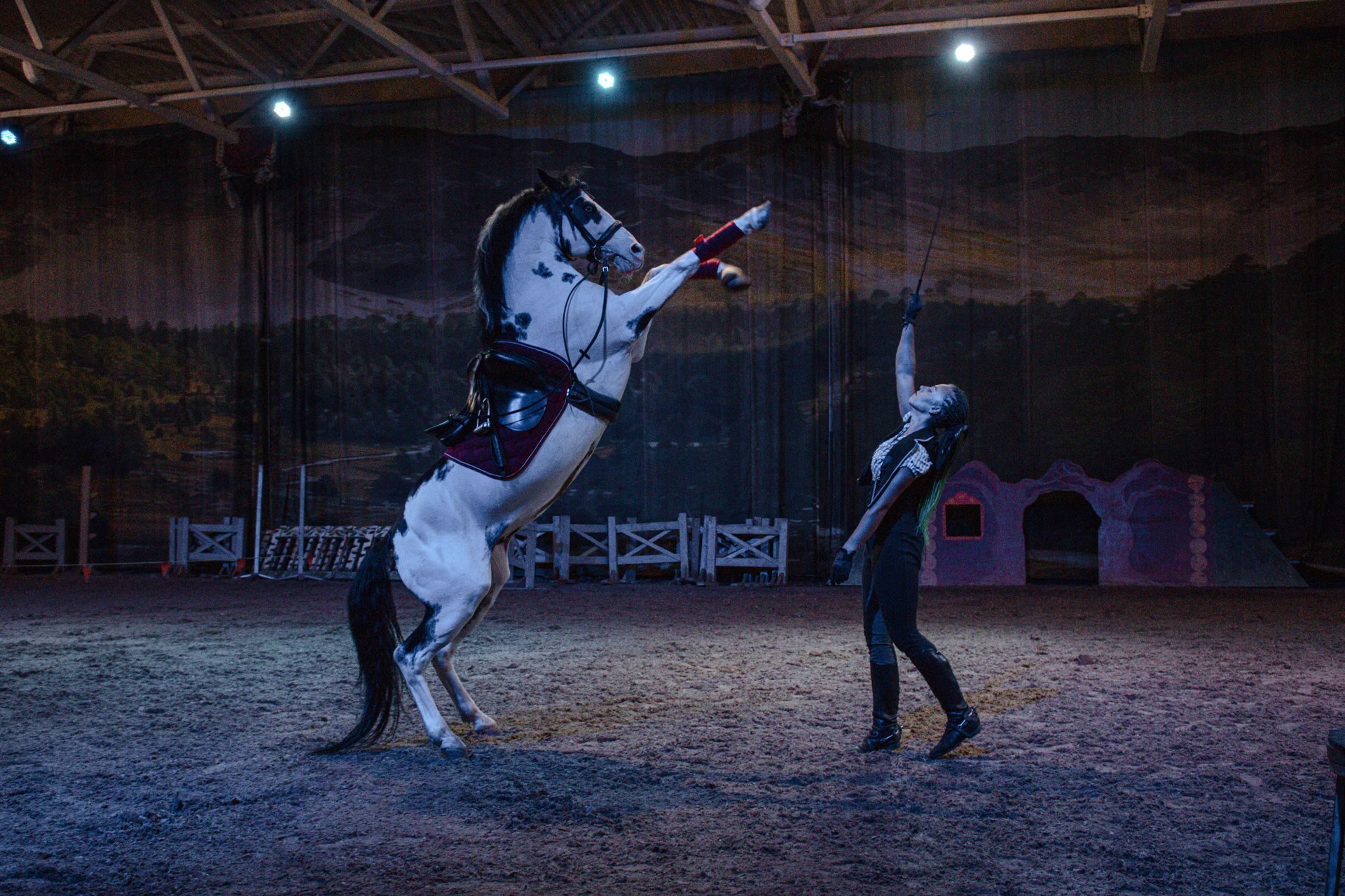11.12.2021 в нашем комплексе состоится конно-цирковое представление!