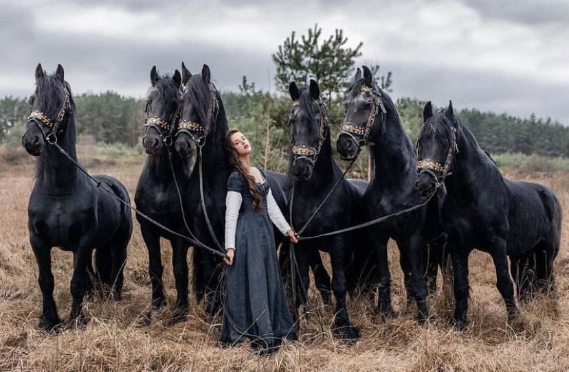 Фотосессия с шестеркой фризов