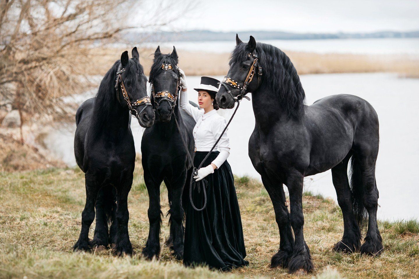 фотосессия с лошадьми