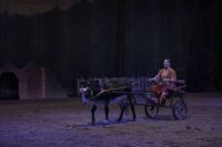 25 марта в 13:00 Состоится конно-цирковое представление с фаер шоу