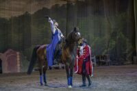 2 ноября в 13:00 увлекательное конное шоу в Наносы Отдых