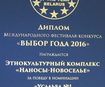 Диплом международного фестиваля-конкурса «ВЫБОР ГОДА 2016»