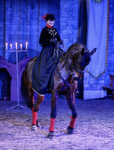 Весеннее конно-цирковое представление с фаер шоу