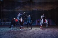 19.11 в 13:00 состоится конно-цирковое шоу