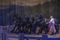 27 августа конное шоу в Наносы Отдых