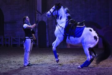 конно-цирковое представление (2)